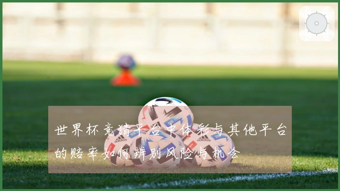 世界杯竞猜平台中体彩与其他平台的赔率如何辨别风险与机会