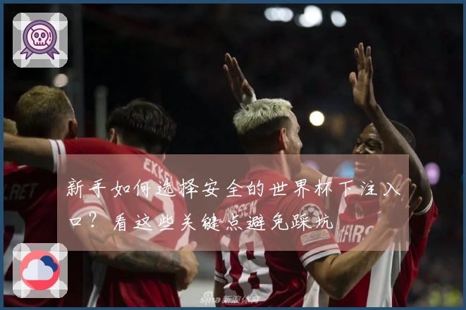 新手如何选择安全的世界杯下注入口？看这些关键点避免踩坑