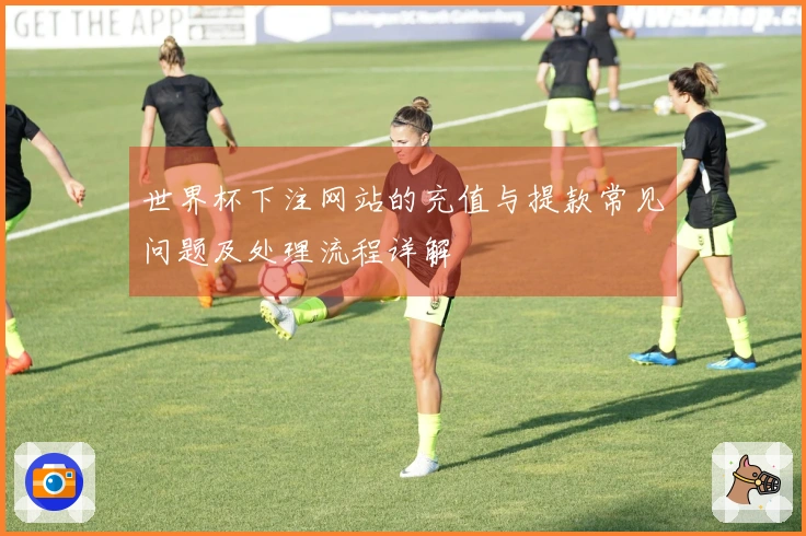 世界杯下注网站的充值与提款常见问题及处理流程详解
