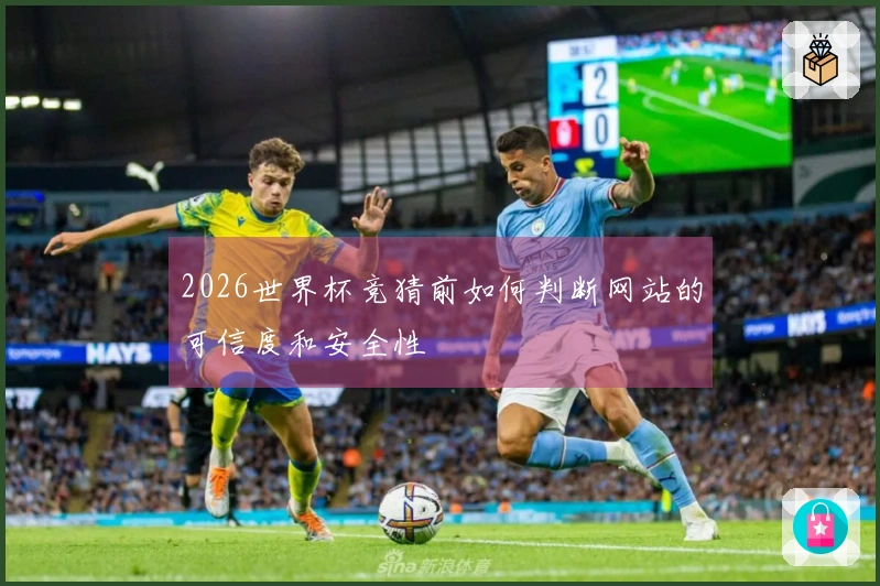 2026世界杯竞猜前如何判断网站的可信度和安全性