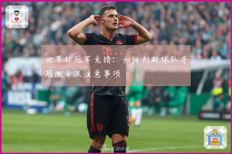世界杯冠军竞猜：如何判断球队夺冠概率及注意事项