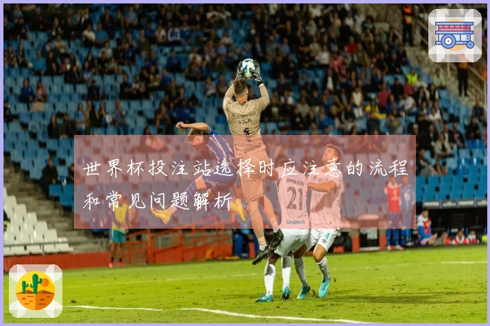 世界杯投注站选择时应注意的流程和常见问题解析