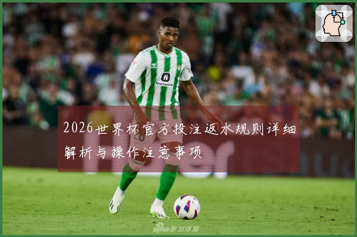 2026世界杯官方投注返水规则详细解析与操作注意事项