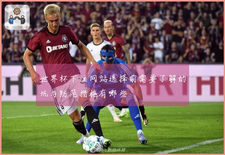 世界杯下注网站选择前需要了解的坑与防范措施有哪些