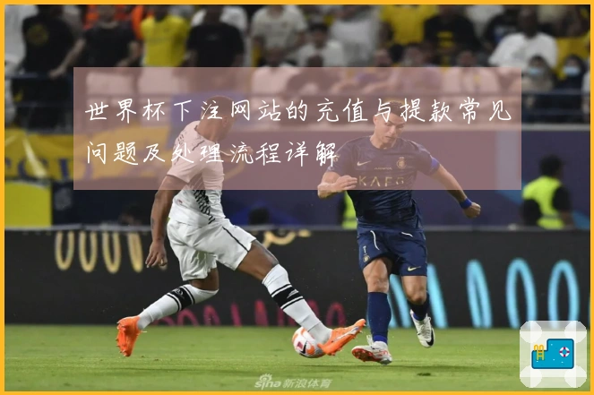世界杯下注网站的充值与提款常见问题及处理流程详解