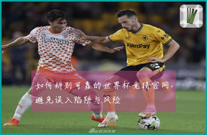 如何辨别可靠的世界杯竞猜官网，避免误入陷阱与风险