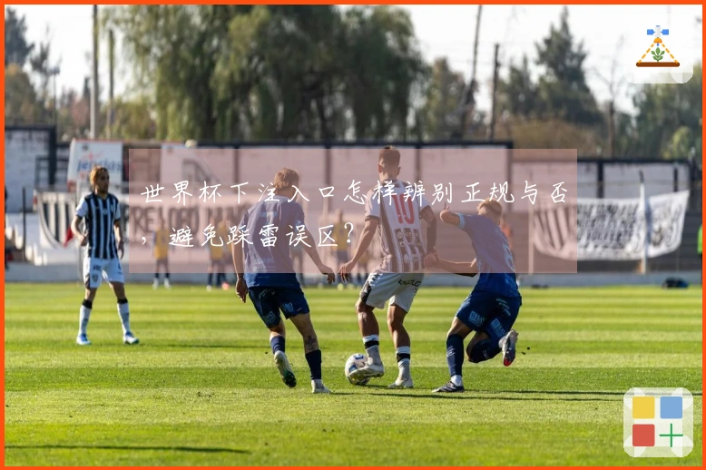 世界杯下注入口怎样辨别正规与否，避免踩雷误区？