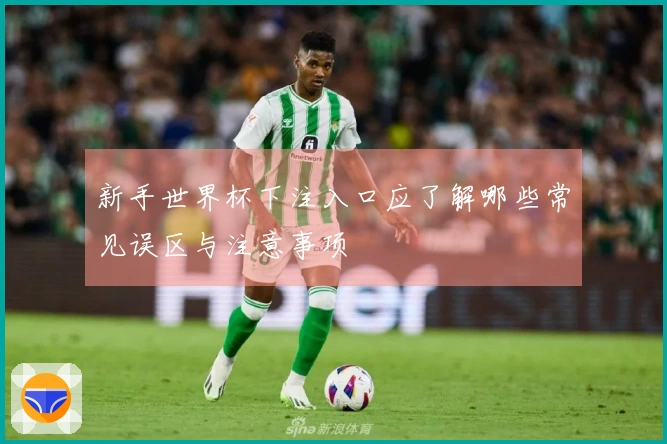 新手世界杯下注入口应了解哪些常见误区与注意事项
