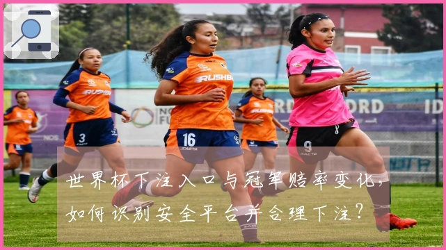 世界杯下注入口与冠军赔率变化，如何识别安全平台并合理下注？