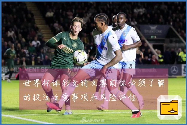 世界杯体彩竞猜决赛前你必须了解的投注注意事项和风险评估