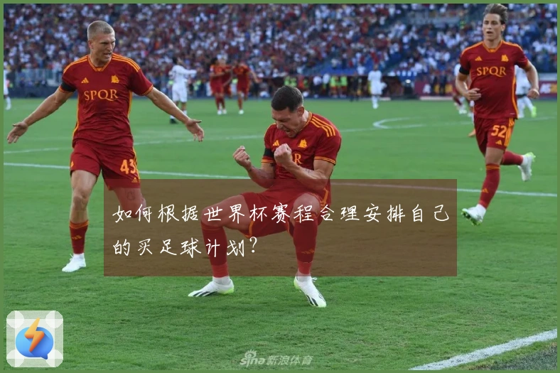 如何根据世界杯赛程合理安排自己的买足球计划？