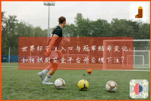世界杯下注入口与冠军赔率变化，如何识别安全平台并合理下注？