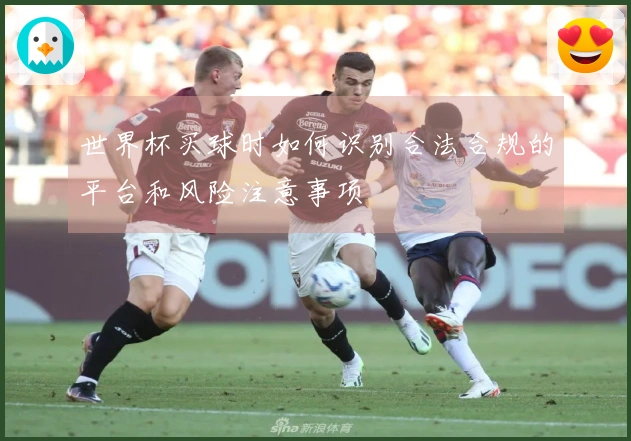 世界杯买球时如何识别合法合规的平台和风险注意事项