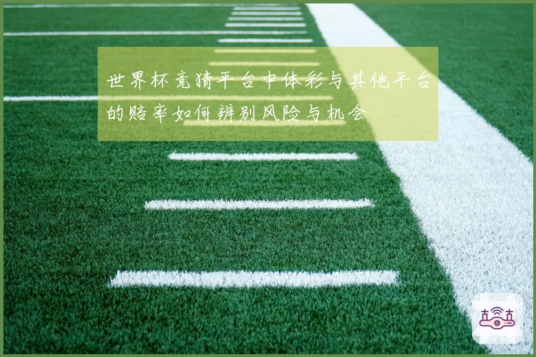 世界杯竞猜平台中体彩与其他平台的赔率如何辨别风险与机会