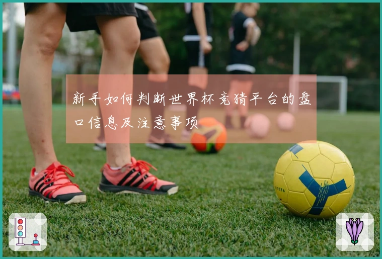 新手如何判断世界杯竞猜平台的盘口信息及注意事项