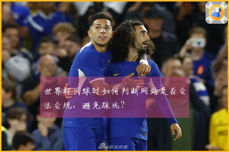 世界杯买球时如何判断网站是否合法合规，避免踩坑？