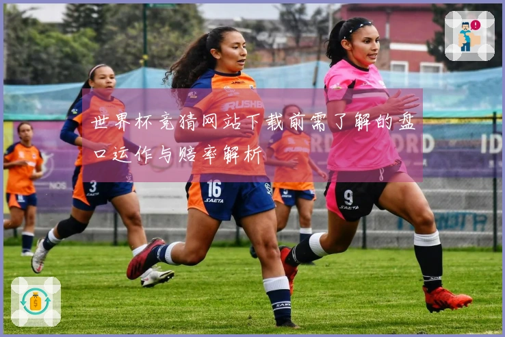 世界杯竞猜网站下载前需了解的盘口运作与赔率解析